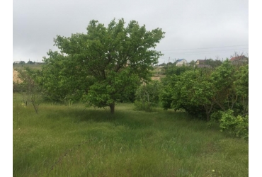 Купить участок в Севастополе. Продажа участка 12 сот. в СТ "Бентос" (Казачка).