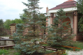 Купить кафе,сауну в Симферополе.Продается кафе,сауна на Жукова.