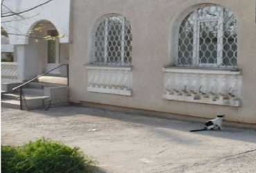 Купить помещение в Севастополе. Продажа помещения 52.8 м кв. на Генерала Острякова.